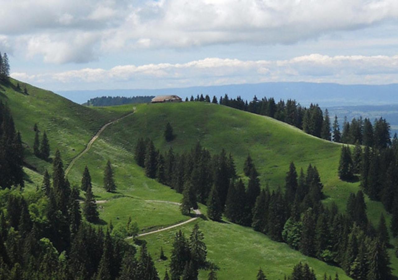 Au Petit Gite Les Paccots Châtel-Saint-Denis Kültér fotó